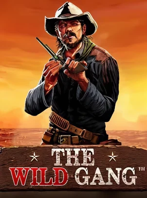 The Wild Gang game artwork